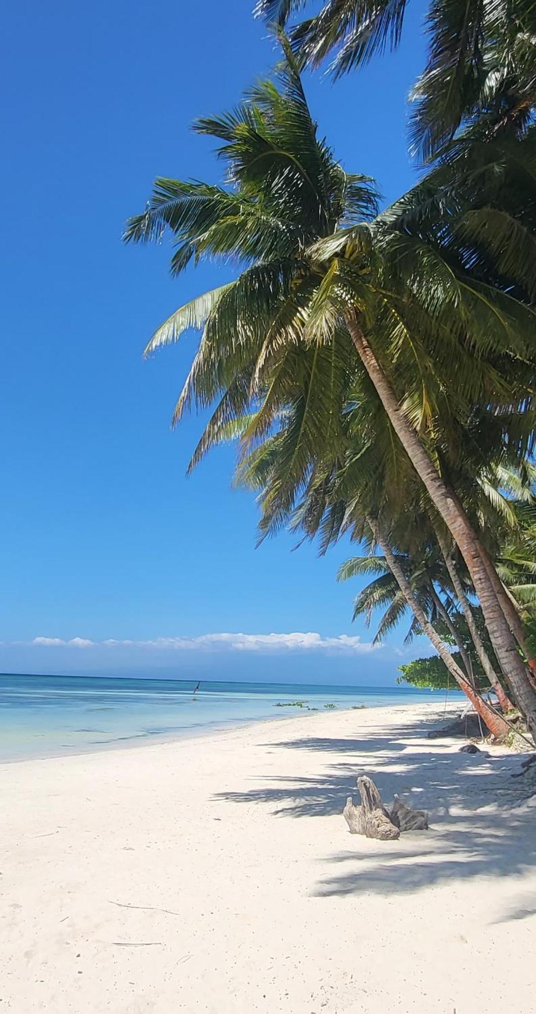 Apo Diver Beach Resort San Juan (Siquijor) Exterior foto
